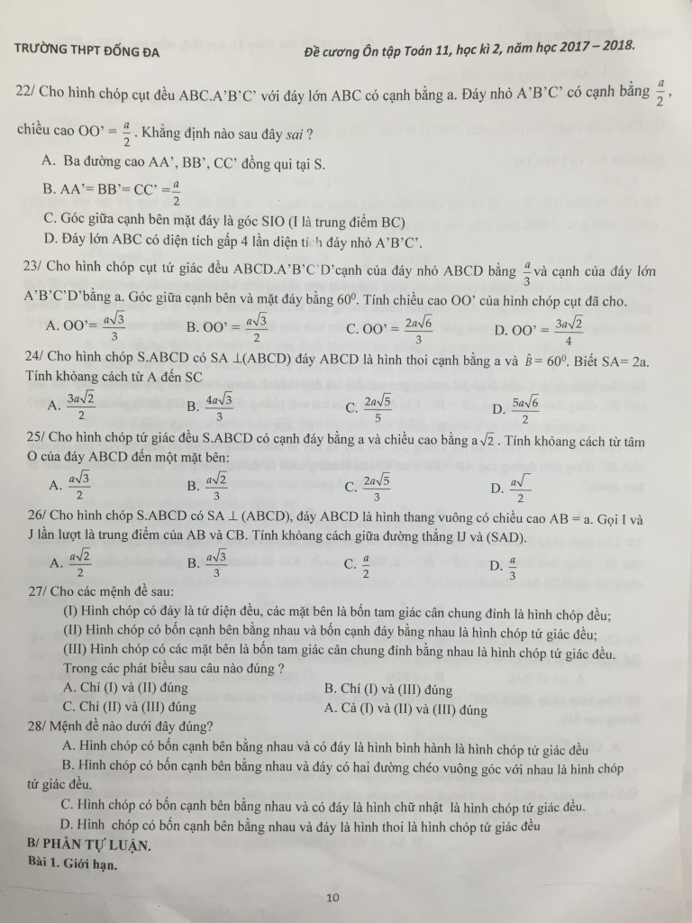 de cuong hk2 lop 11 dong da 2018 (9)